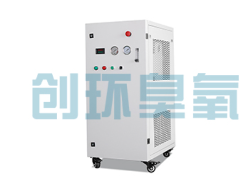 蔚县石斑鱼养殖水质调控完整指南:臭氧发生器配置与操作步骤