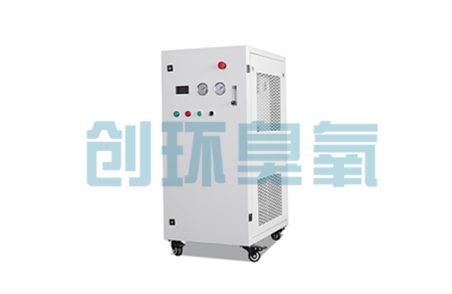 蔚县比传统换水更高效?臭氧发生器在石斑鱼养殖中的水质净化原理解析