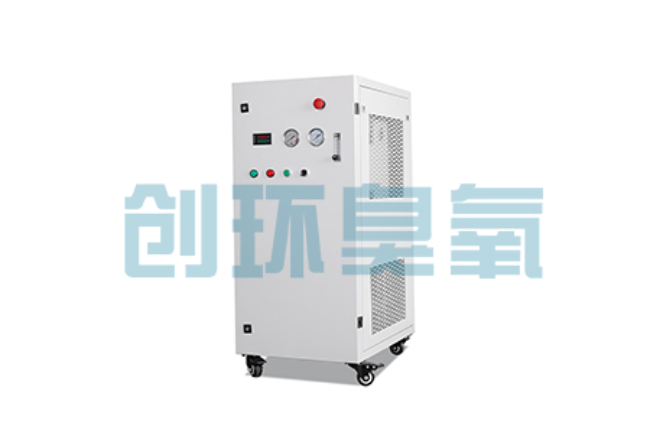 蔚县比传统换水更高效?臭氧发生器在石斑鱼养殖中的水质净化原理解析